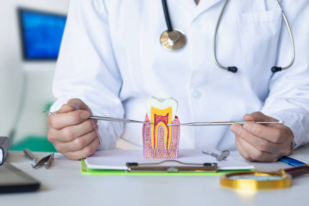 Best Tooth Infection Emergency Dentist  in Arp, TX
